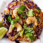 Recipe for Thai Fusion Rainbow Noodle Salad