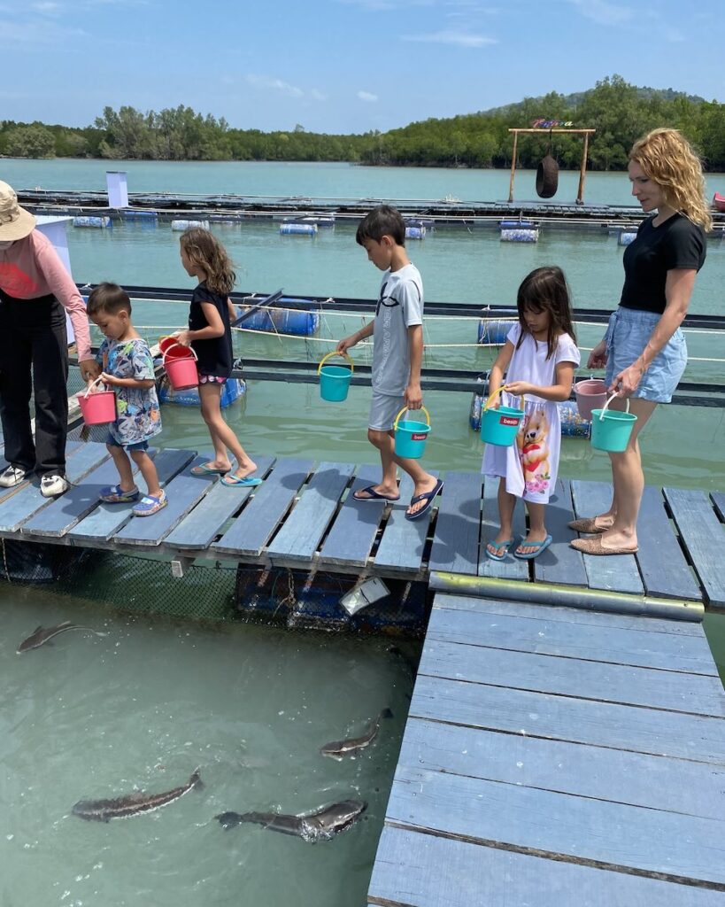 intara fish farm walking